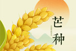 节气